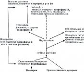 Что такое систематическая группа водорослей